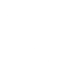 Website Design Service